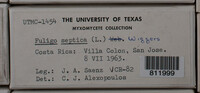 Image Associated With the Occurence